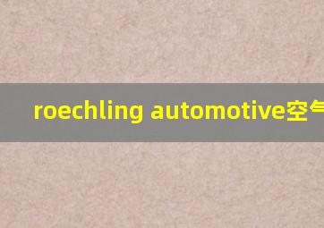 roechling automotive空气滤芯